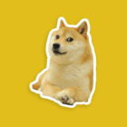 Doge Stickers
