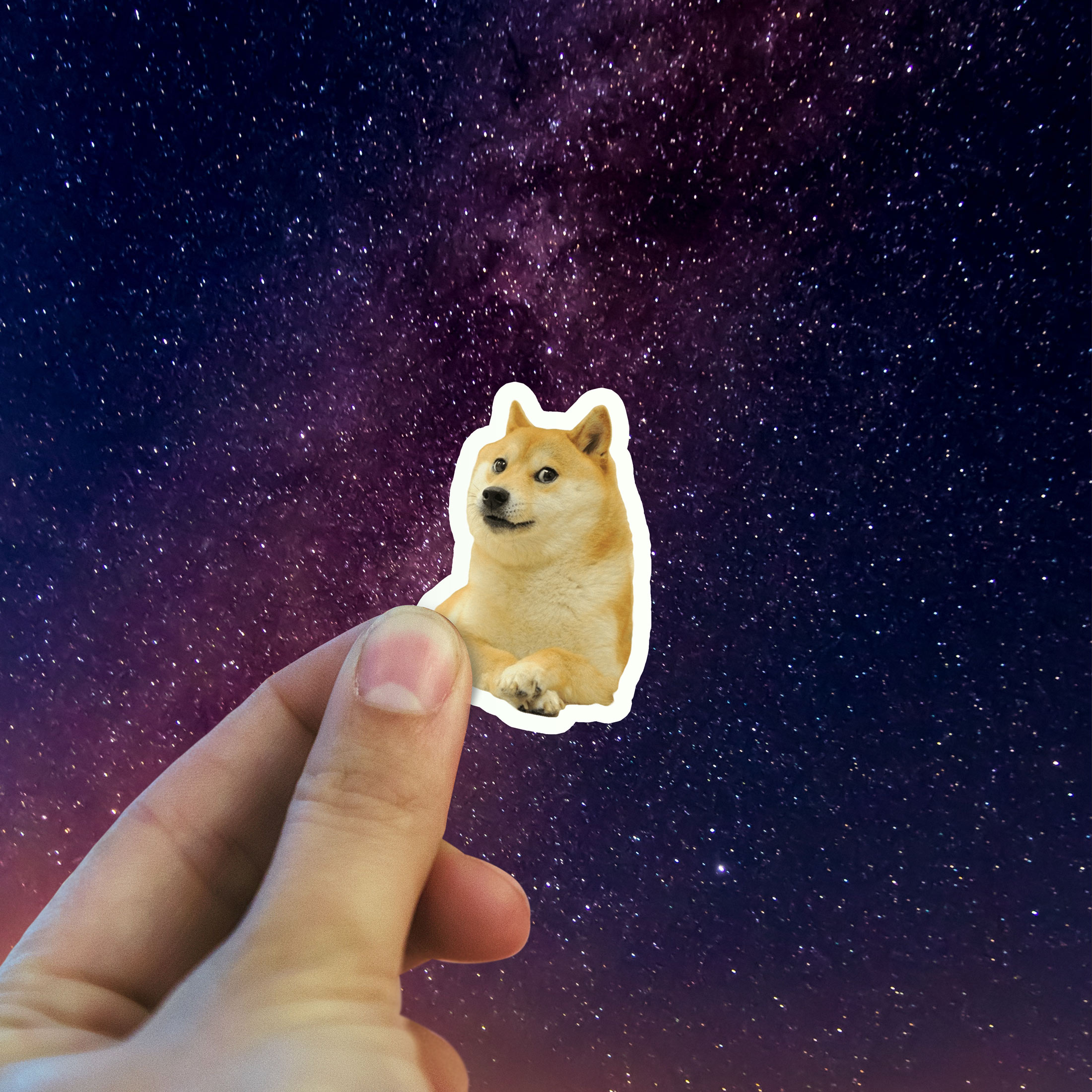 Dogecoin sticker holding in hand