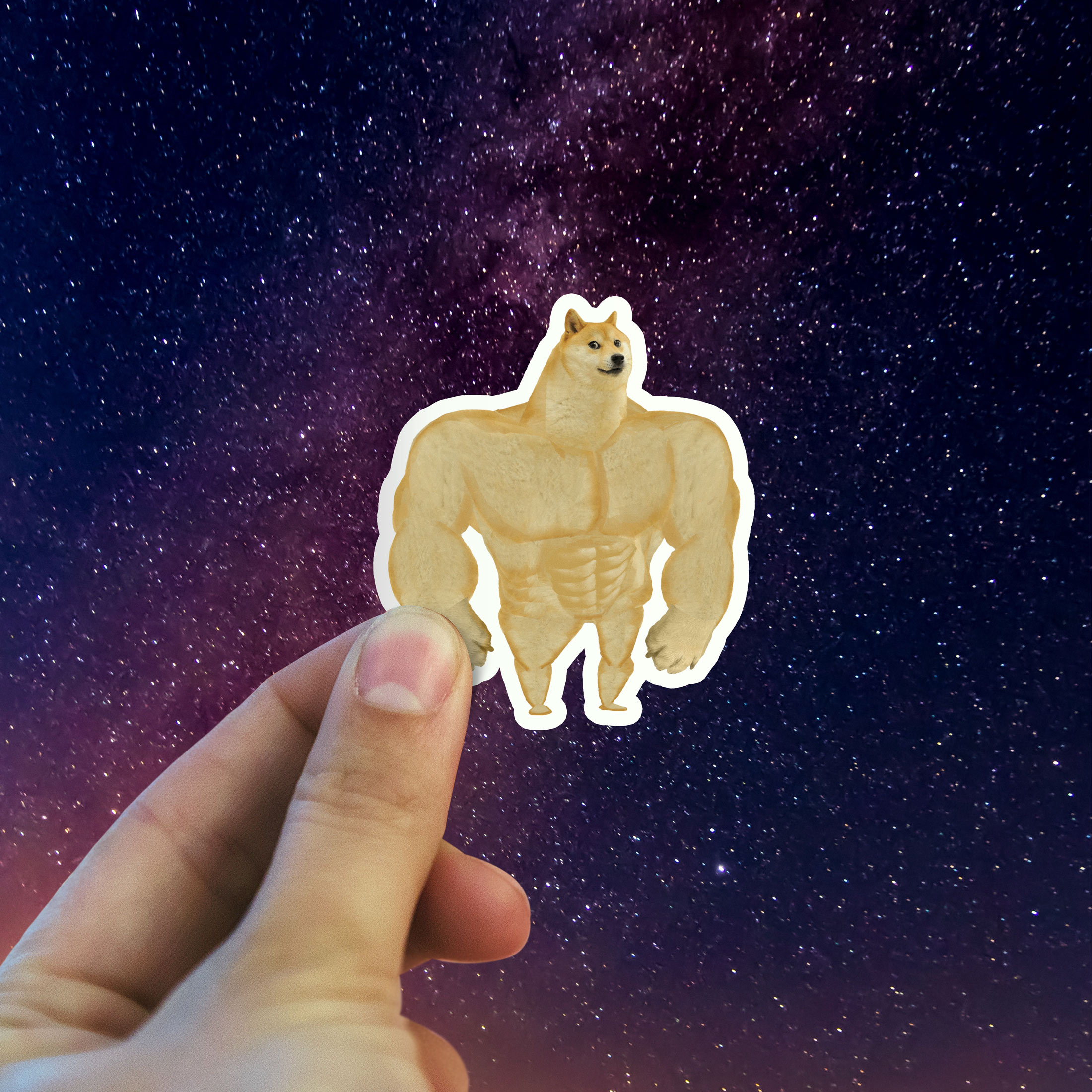 Dogecoin Swole sticker holding in hand